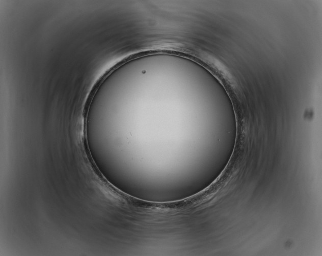 X0000100501324200806201706