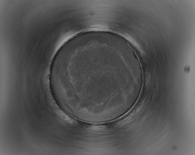 X0000100501325200806201706