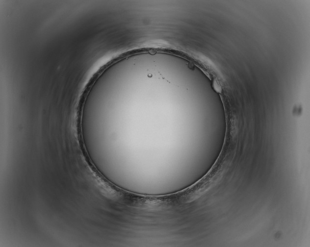 X0000100501326200806201706