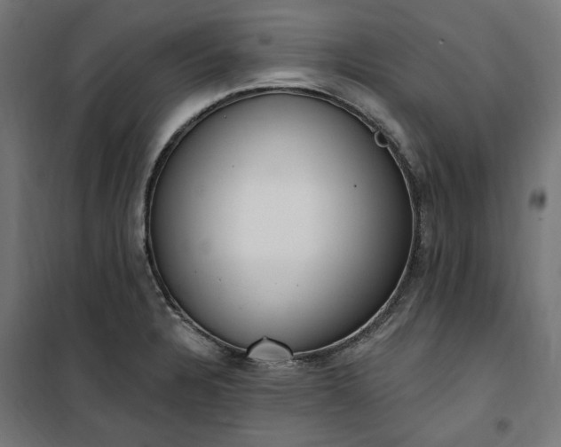 X0000100501328200806201706