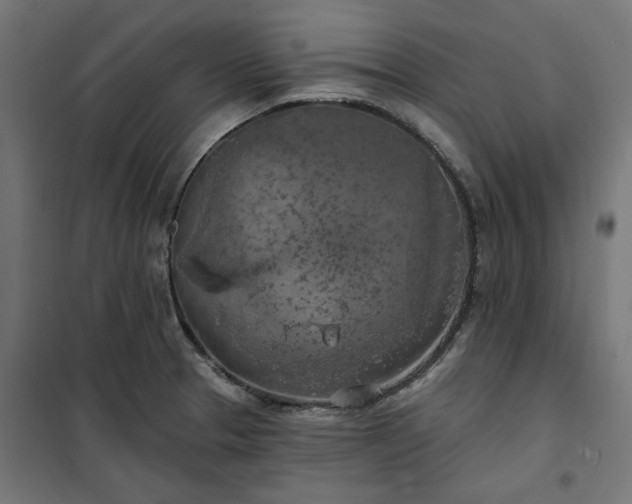 X0000100501329200806201706