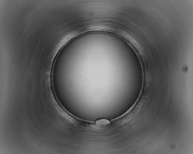 X0000100501330200806201706