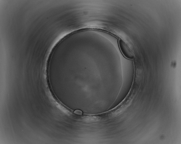 X0000100501331200806201706