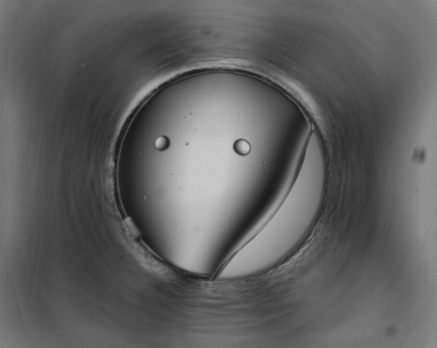 X0000100501332200806201706