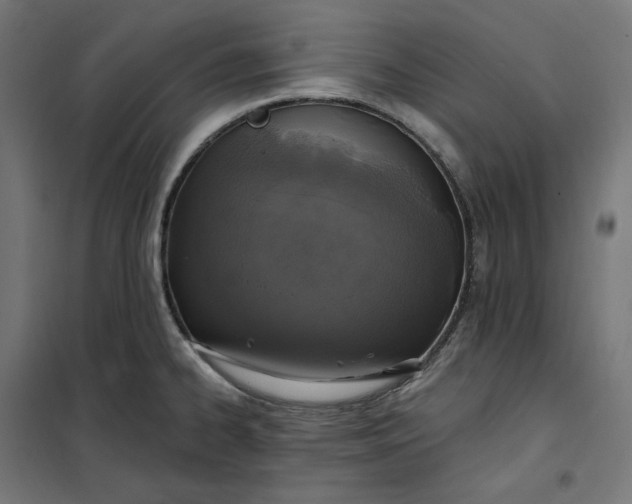 X0000100501334200806201706