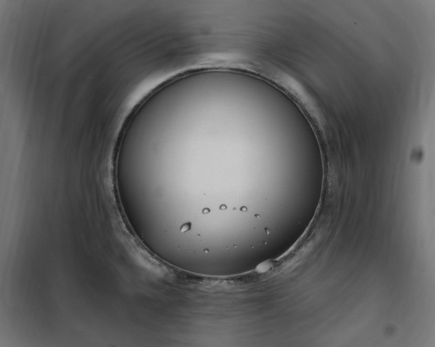 X0000100501336200806201706