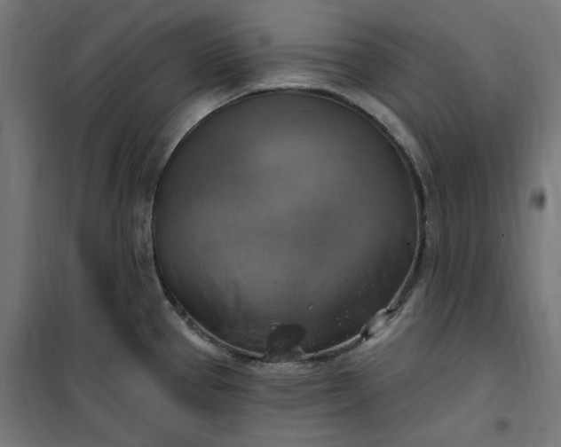 X0000100501337200806201706