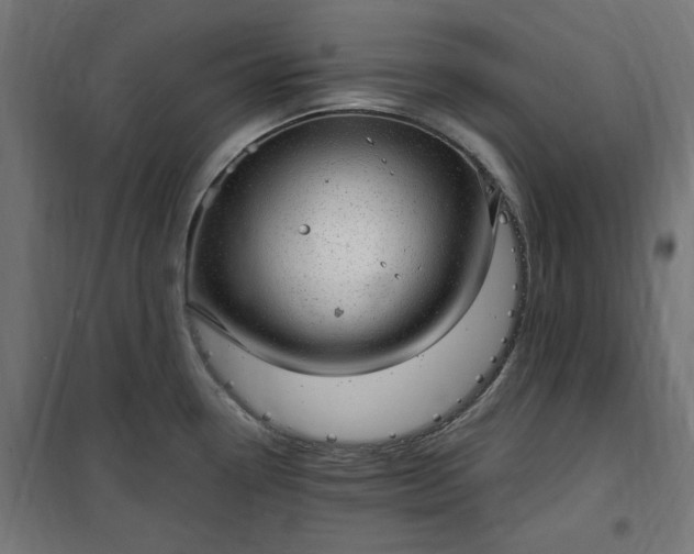 X0000100501338200806201706