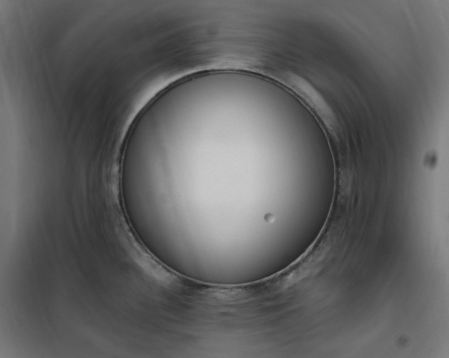 X0000100501340200806201706