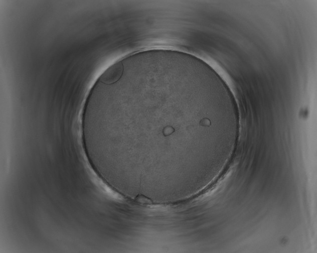 X0000100501341200806201706