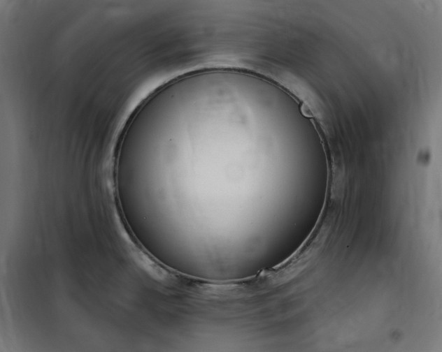 X0000100501342200806201706