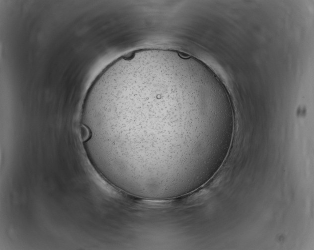 X0000100501344200806201706