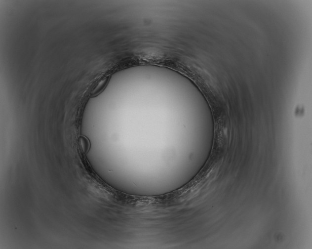 X0000100501345200806201706