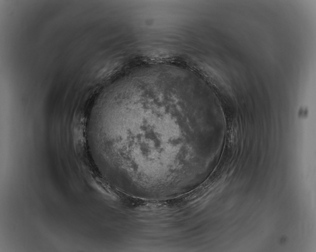 X0000100501346200806201706