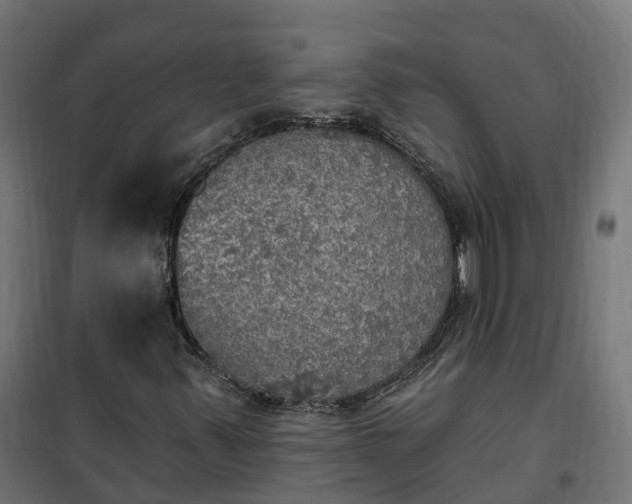 X0000100501347200806201706