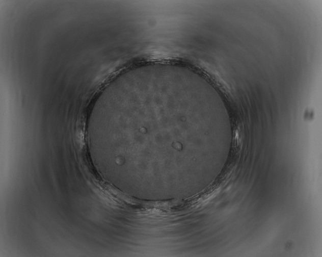 X0000100501348200806201706