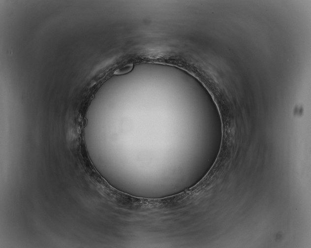 X0000100501349200806201706