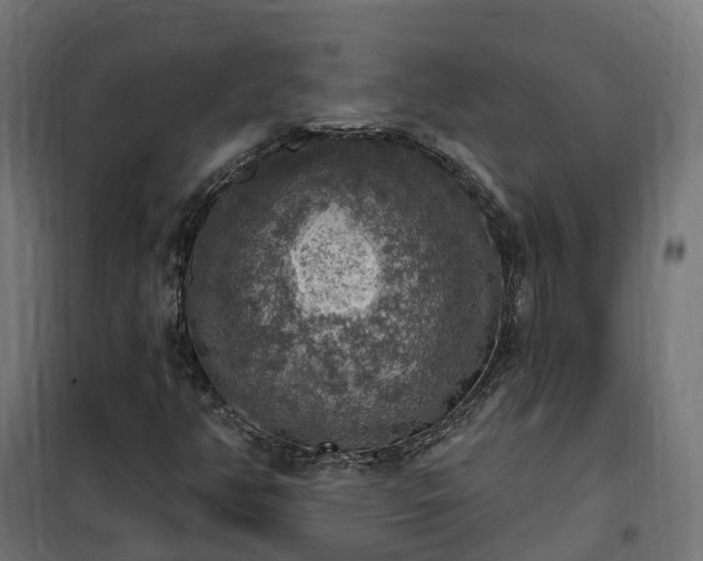 X0000100501350200806201706