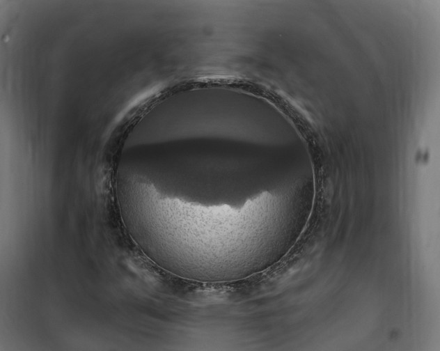 X0000100501351200806201706