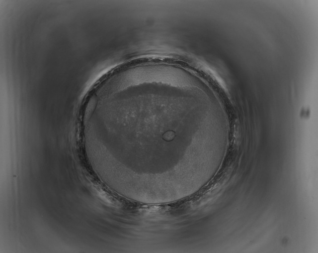 X0000100501352200806201706