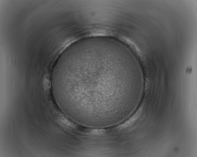 X0000100501353200806201706