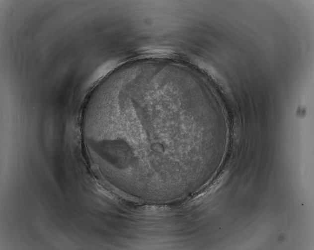 X0000100501354200806201706