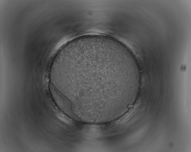 X0000100501355200806201706