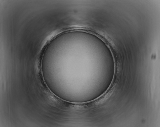 X0000100501357200806201706