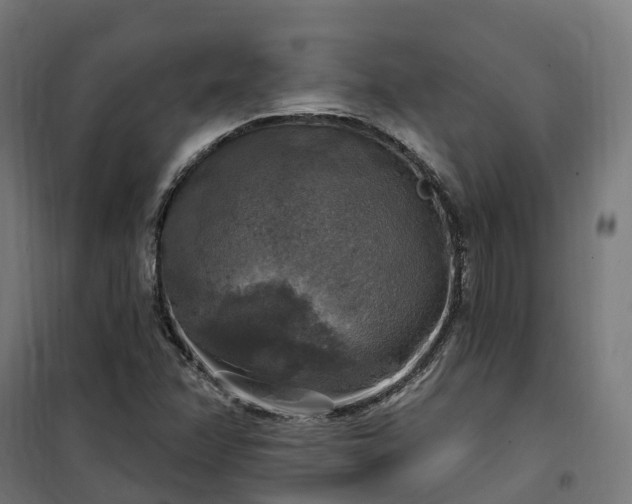 X0000100501358200806201706