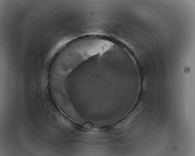 X0000100501359200806201706