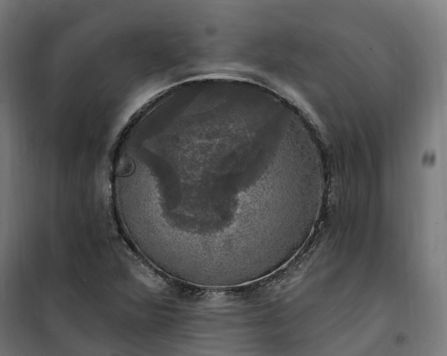 X0000100501360200806201706