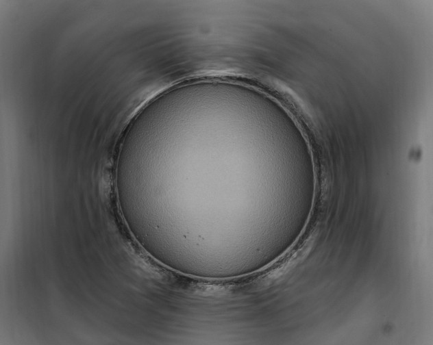 X0000100501361200806201706