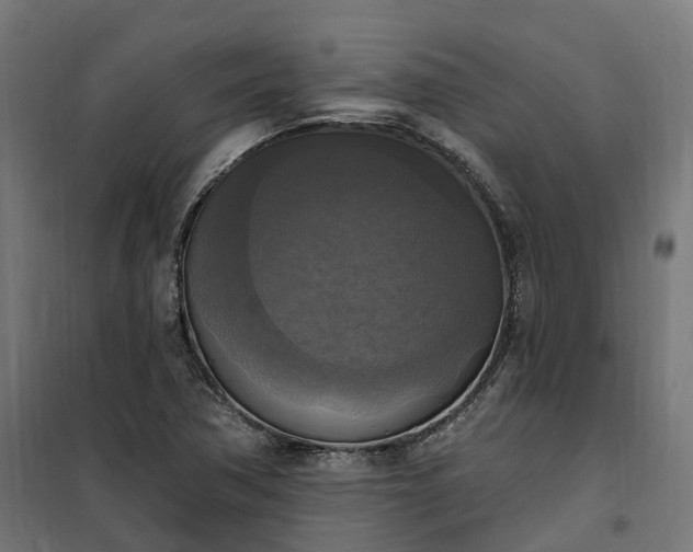 X0000100501362200806201706