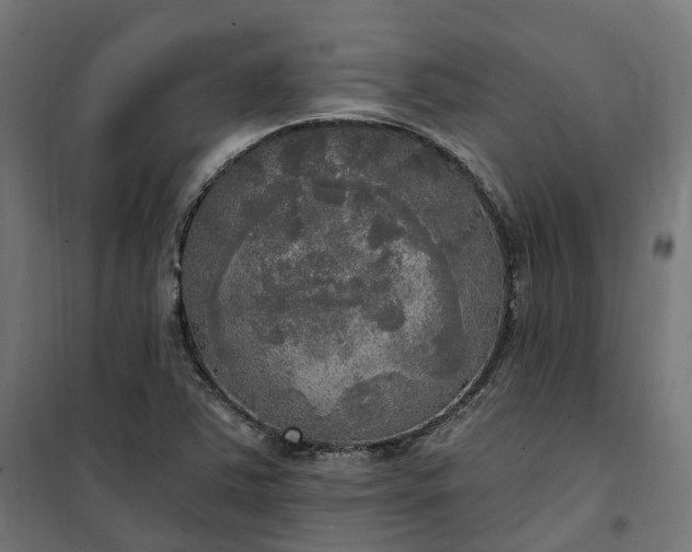 X0000100501363200806201706