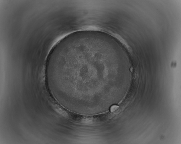 X0000100501364200806201706