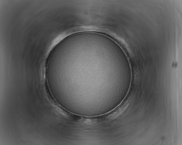 X0000100501365200806201706