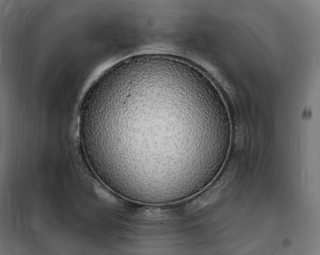 X0000100501366200806201705