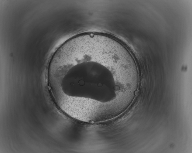 X0000100501367200806201705