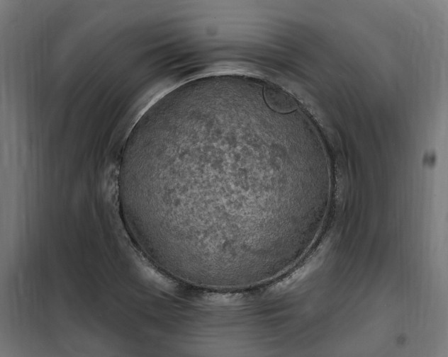 X0000100501369200806201705