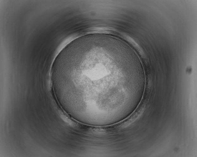 X0000100501370200806201705