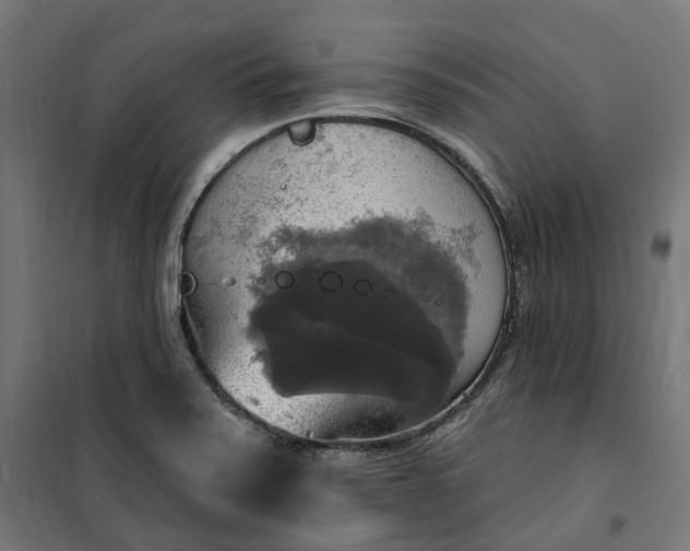 X0000100501371200806201705