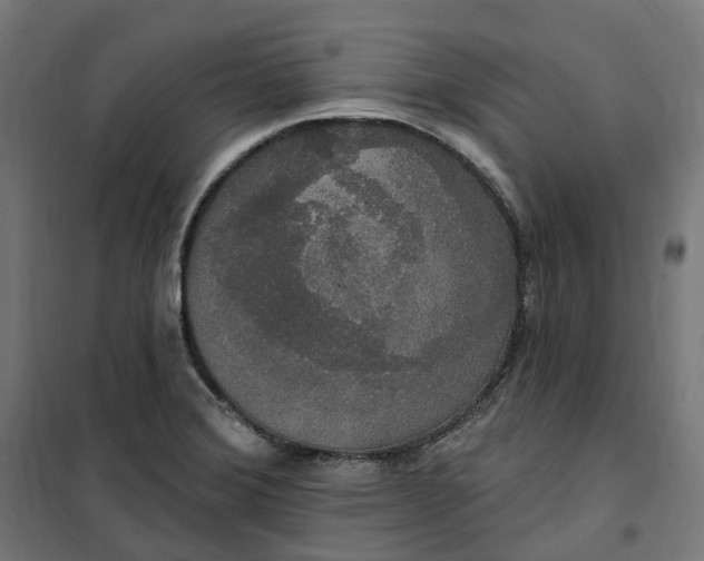 X0000100501372200806201705