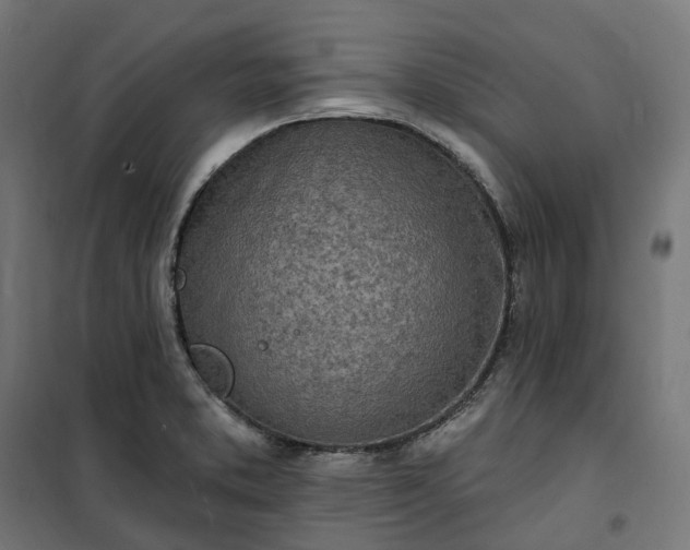 X0000100501373200806201705