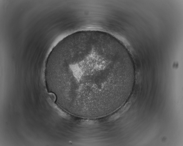 X0000100501374200806201705