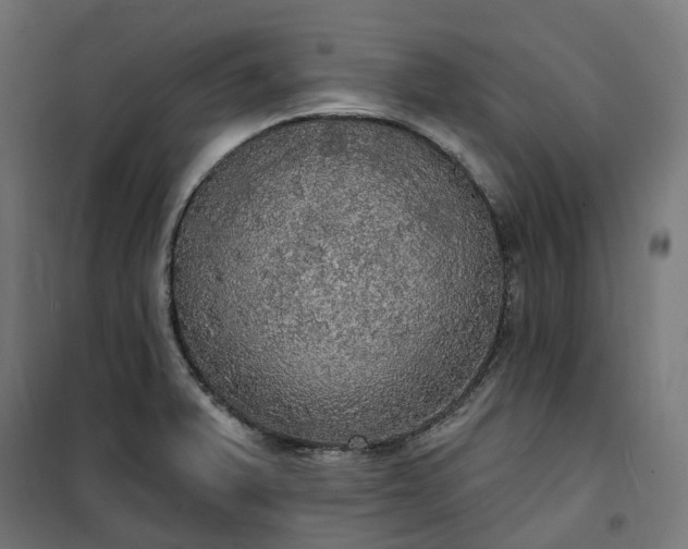 X0000100501375200806201705