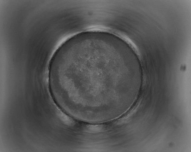 X0000100501376200806201705