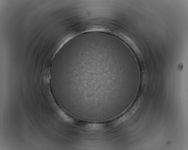 X0000100501377200806201705