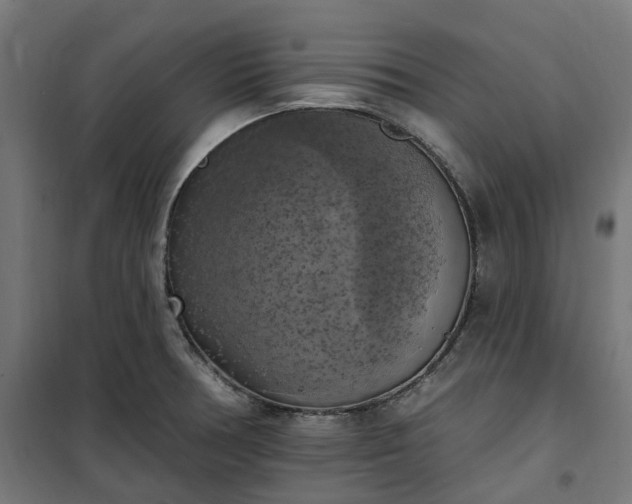 X0000100501378200806201705