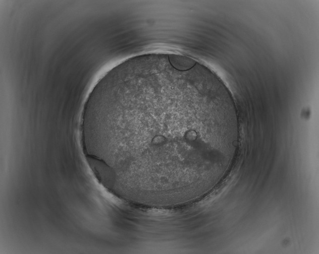 X0000100501379200806201705