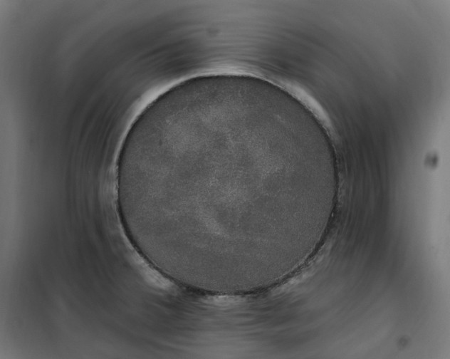 X0000100501380200806201705